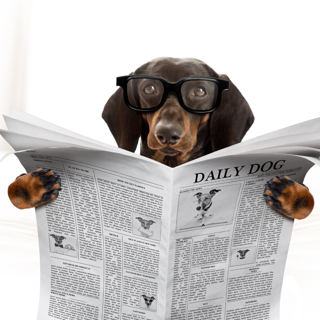 Hond leest krant